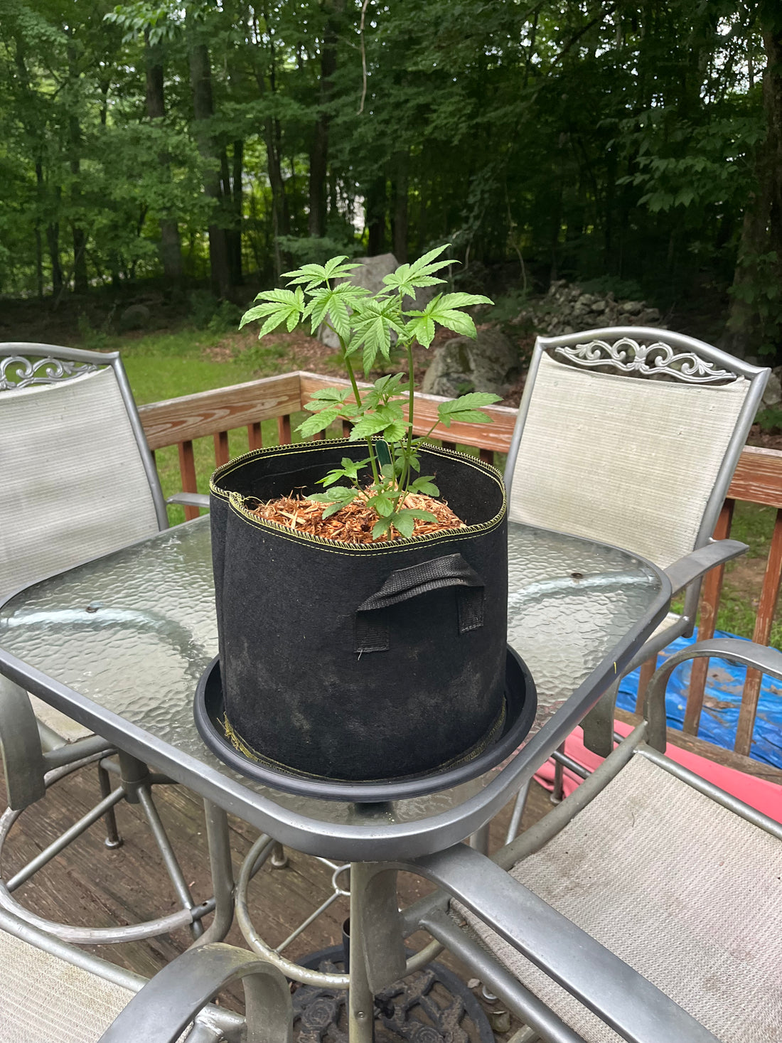 Day 40 outdoor- TRAVEL DAY