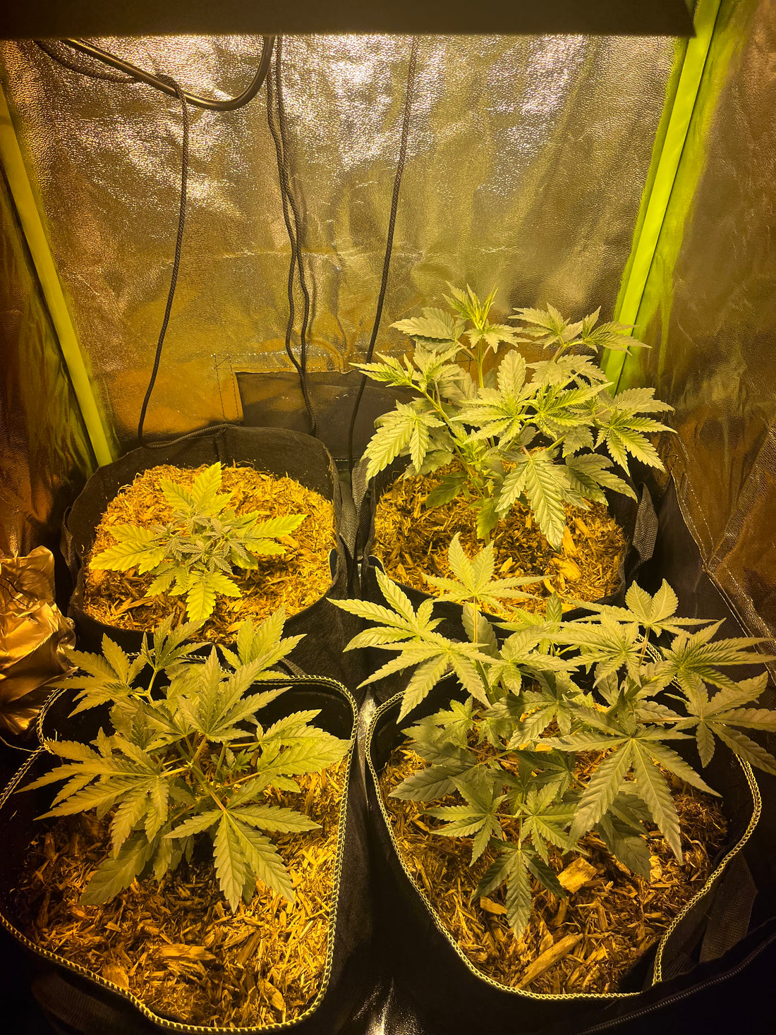 Day 40 indoor- TRAVEL DAY