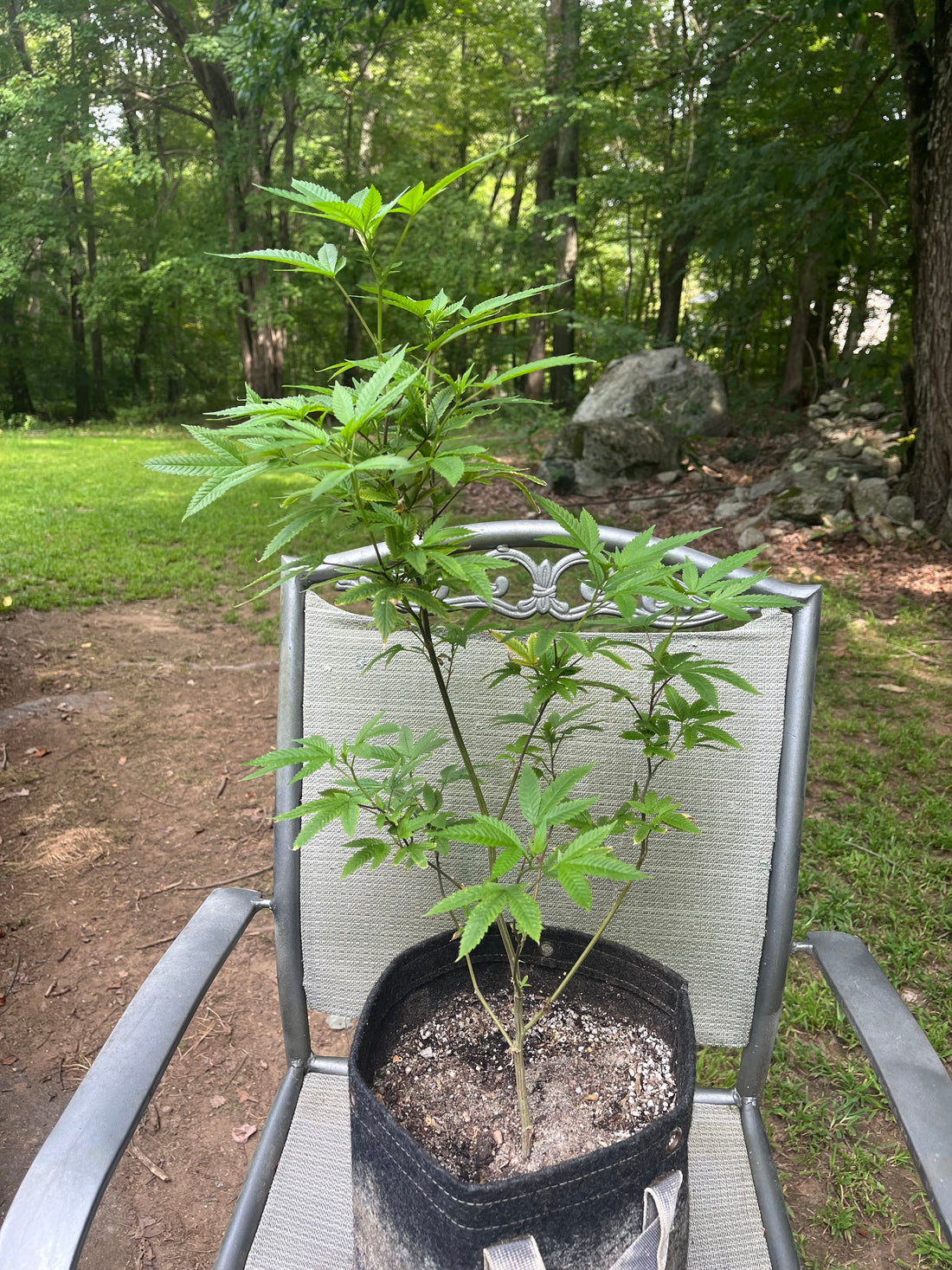 Day 79 outdoor beta- Detailed inspection